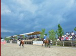Clubul Equestria, Echitatie Si Relaxare, Langa Bucuresti 09